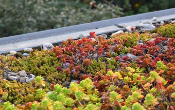 the cost of Frostenden green roof installation