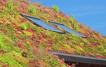 Frostenden living roof systems
