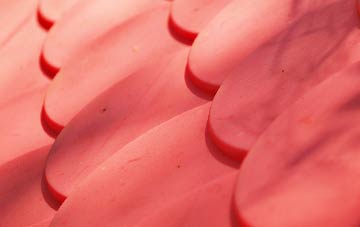 Frostenden plastic roof costs