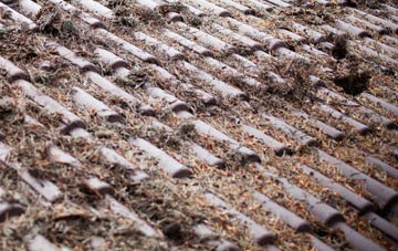 Frostenden roof cleaning companies