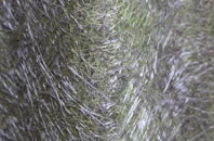 Frostenden fibreglass roof work
