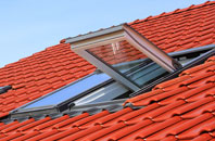 Frostenden roof window
